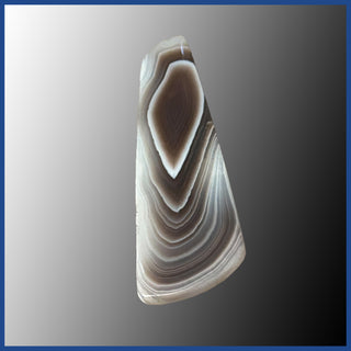 BOT616c Botswana Agate Cabochon