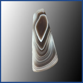 BOT616c Botswana Agate Cabochon