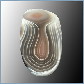 BOT621cc Botswana Agate Cabochon