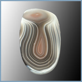 BOT621cc Botswana Agate Cabochon