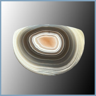 BOT624cc Botswana Agate Cabochon