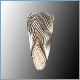 BOT625c Botswana Agate Cabochon