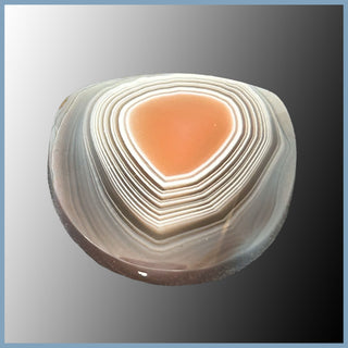 BOT627cc Botswana Agate Cabochon