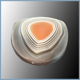 BOT627cc Botswana Agate Cabochon