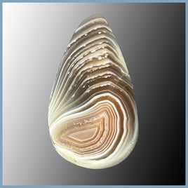 BOT629c Botswana Agate Cabochon