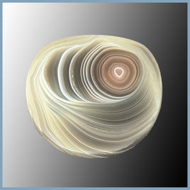 BOT630cc Botswana Agate Cabochon