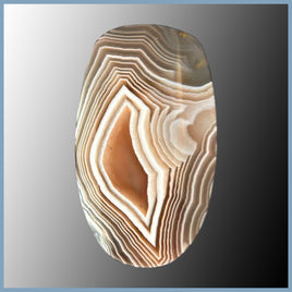 BOT631c Botswana Agate Cabochon