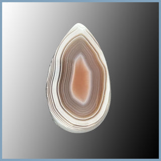 BOT632cc Botswana Agate Cabochon