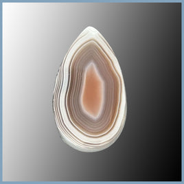 BOT632cc Botswana Agate Cabochon