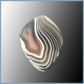 BOT633c Botswana Agate Cabochon