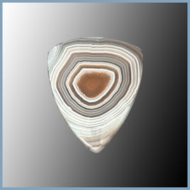 BOT634cc Botswana Agate Cabochon