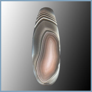 BOT635c Botswana Agate Cabochon