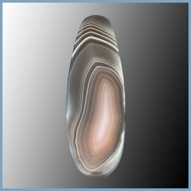 BOT635c Botswana Agate Cabochon