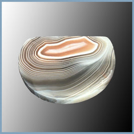 BOT636c Botswana Agate Cabochon
