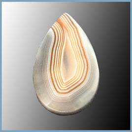 BOT638cc Botswana Agate Cabochon