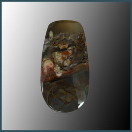 BUT442c Butterfly Jasper Cabochon