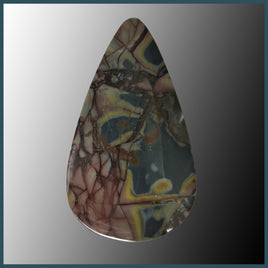 BUT445c Butterfly Jasper Cabochon