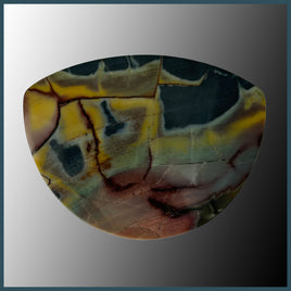 BUT447c Butterfly Jasper Cabochon