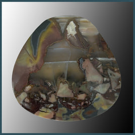 BUT451c Butterfly Jasper Cabochon