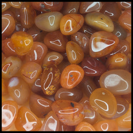 Carnelian Agate, Tumbled Stone, Small, 1 lb lot