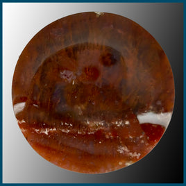 FLA121c Flame Agate Cabochon