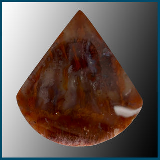 FLA129c Flame Agate Cabochon