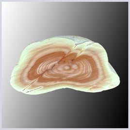 IMP515 Royal Imperial Jasper Specimen
