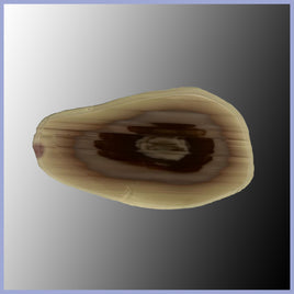 IMP487 Royal Imperial Jasper Specimen