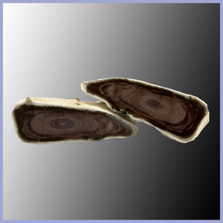 IMP495pr Royal Imperial Jasper Specimen