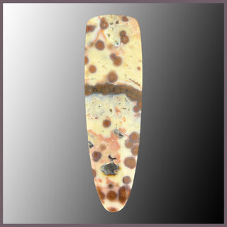 OCE853cc Ocean Jasper Cabochon