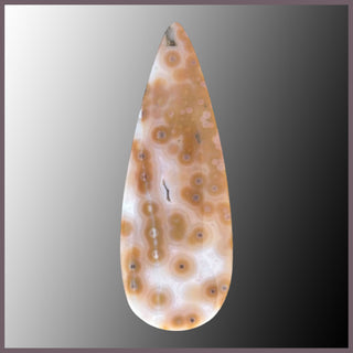 OCE860cc Ocean Jasper Cabochon