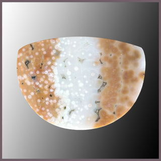 OCE868cc Ocean Jasper Cabochon