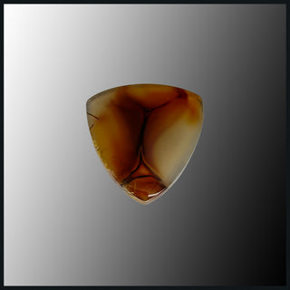 PIR102c Piranha Agate Cabochon