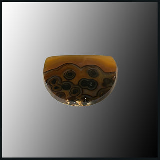 PIR103c Piranha Agate Cabochon