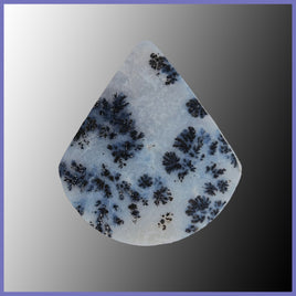 PLU135c Plume Agate Cabochon