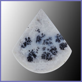 PLU137c Plume Agate Cabochon