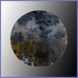 PLU138c Plume Agate Cabochon