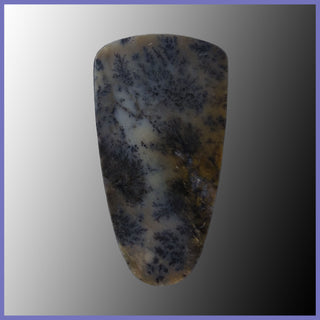 PLU139c Plume Agate Cabochon