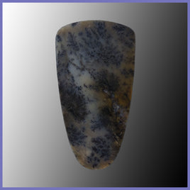 PLU139c Plume Agate Cabochon