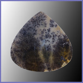PLU141c Plume Agate Cabochon