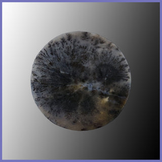 PLU144c Plume Agate Cabochon