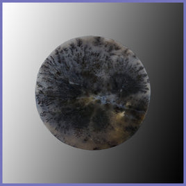 PLU144c Plume Agate Cabochon