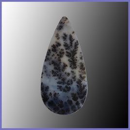 PLU145c Plume Agate Cabochon