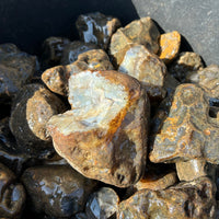 Black Skin Agate, Rough Rock, per lb