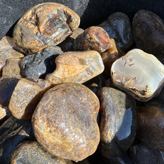 Montana Moss Agate, Select, per lb