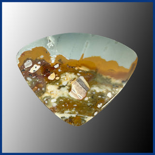 RBP516c Rocky Butte Picture Jasper Cabochon