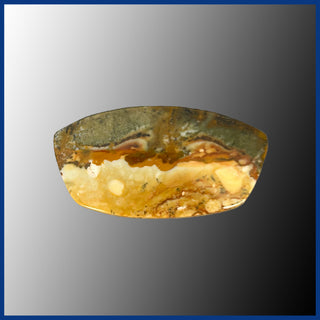 RBP524c Rocky Butte Picture Jasper Cabochon