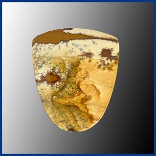 RBP525c Rocky Butte Picture Jasper Cabochon