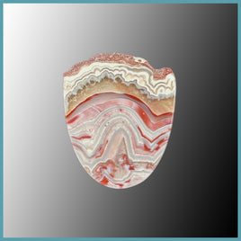 REL572c Red Lace Agate Cabochon
