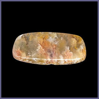 RRP703c Regency Rose Plume Agate Cabochon